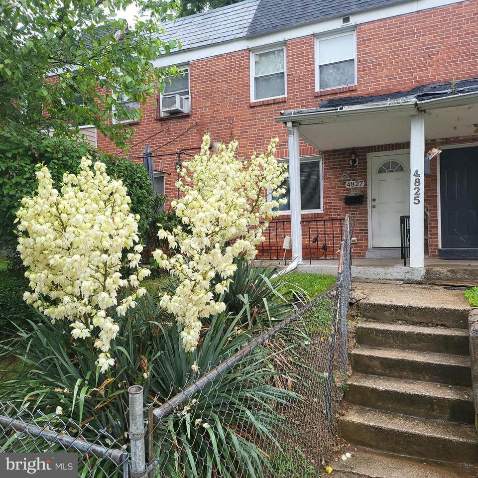 4827 Beaufort Avenue - Photo 1