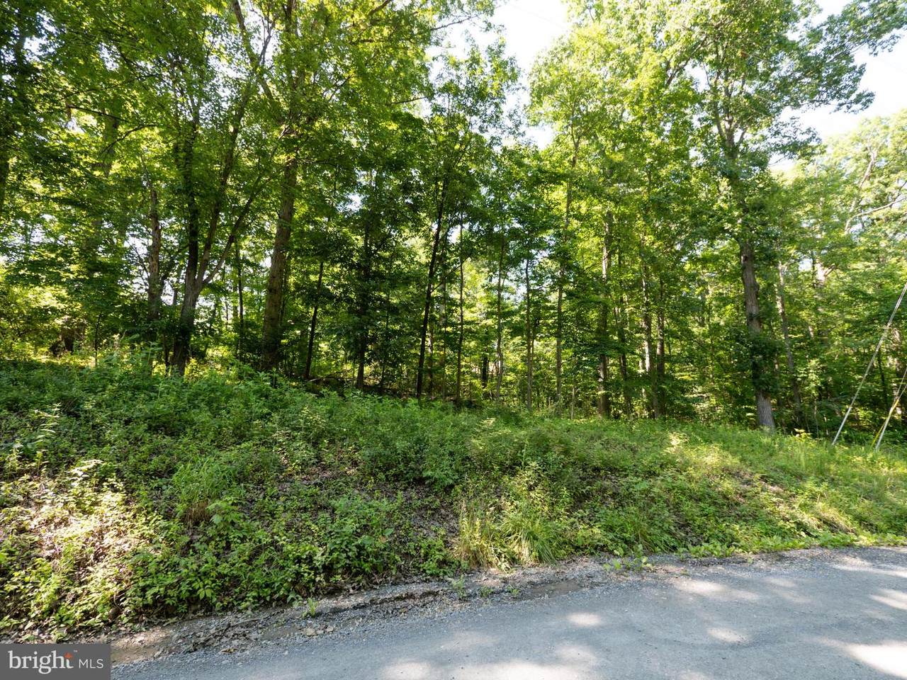 Lot 358 Western Lane - Photo 1