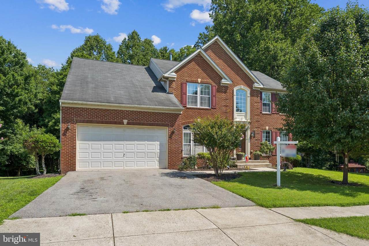 12003 Elmwood Drive - Photo 1