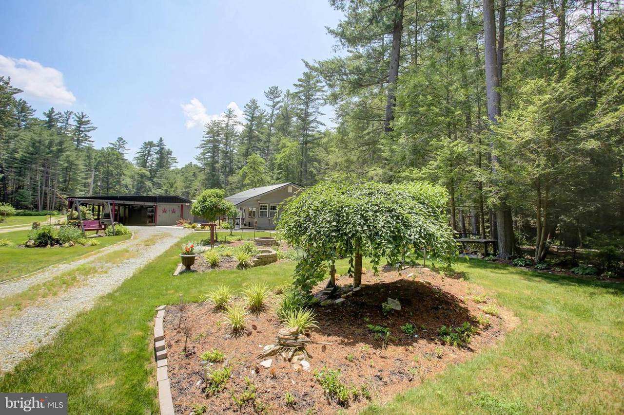 2010-F Pine Grove Road - Photo 1