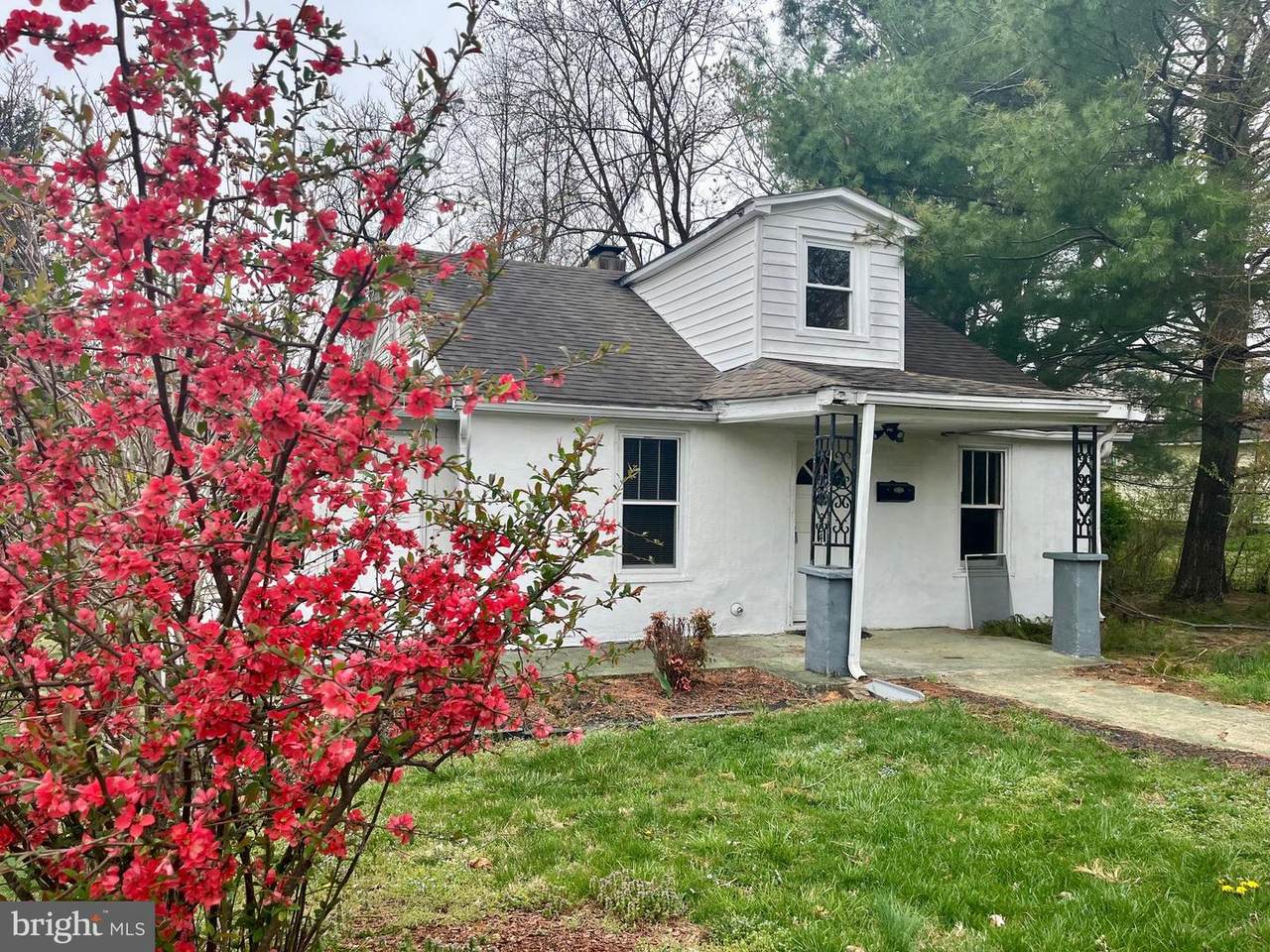 204 Dogwood Street - Photo 1