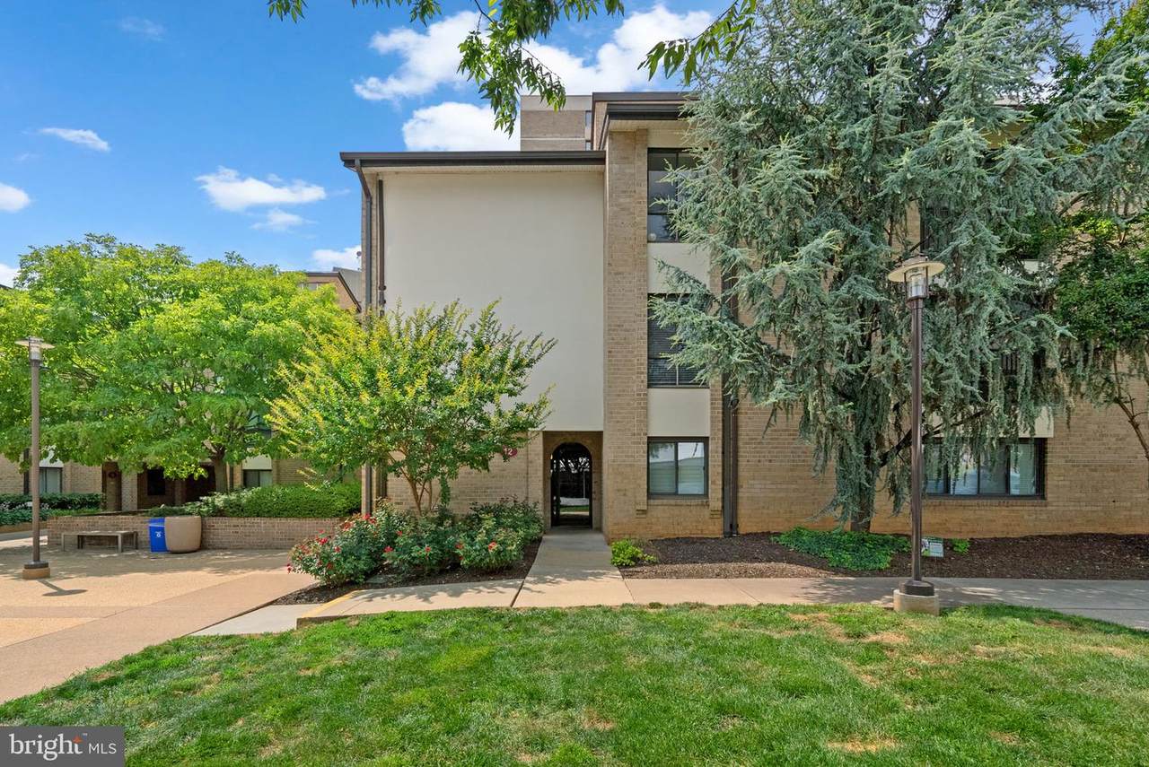 12 Monroe Street - Photo 1