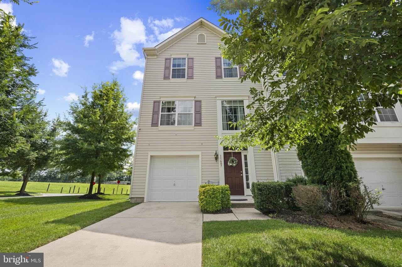 11607 Amaralles Drive - Photo 1