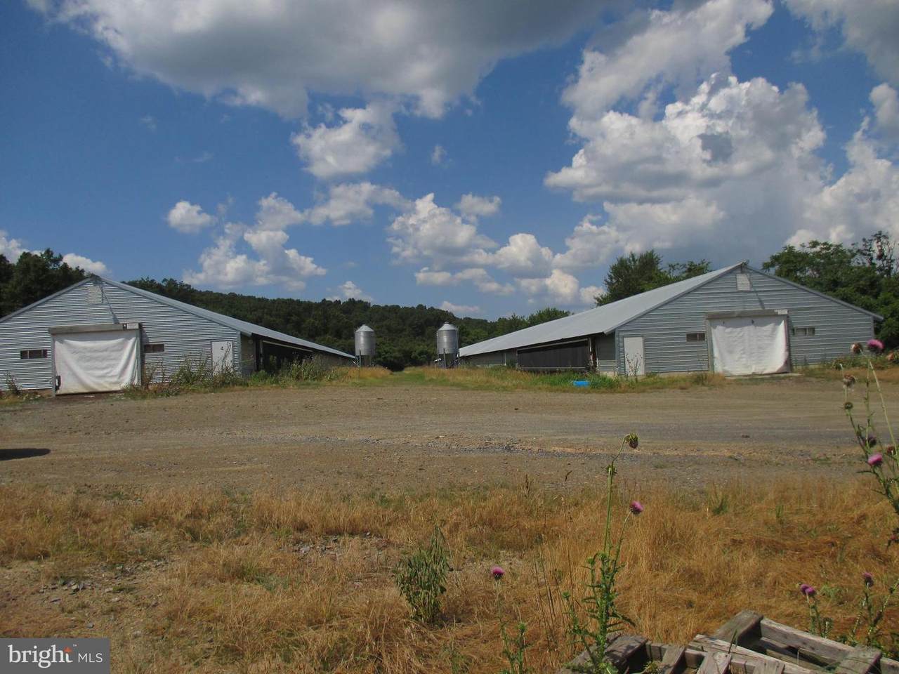 703 Nugget Lane - Photo 1