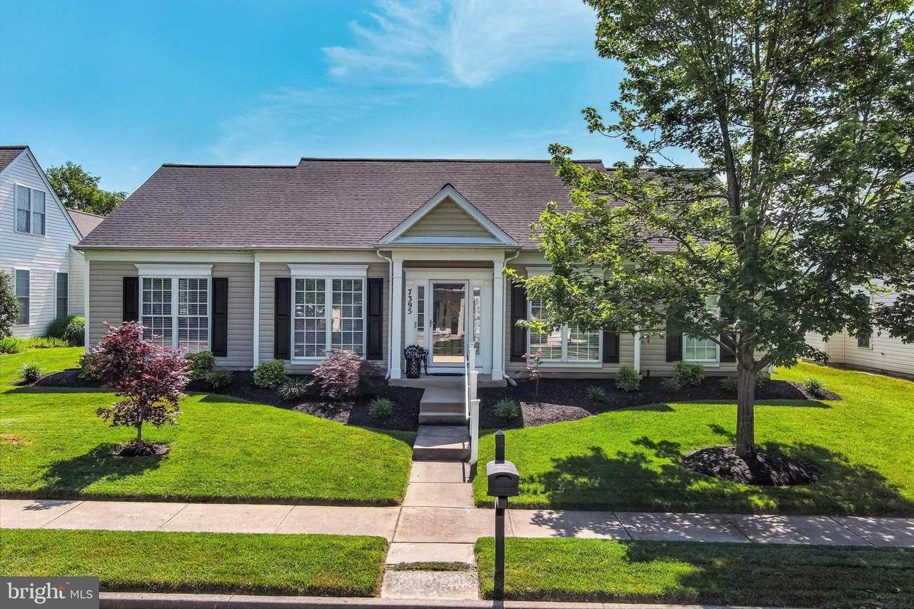 7395 Karen Avenue - Photo 1