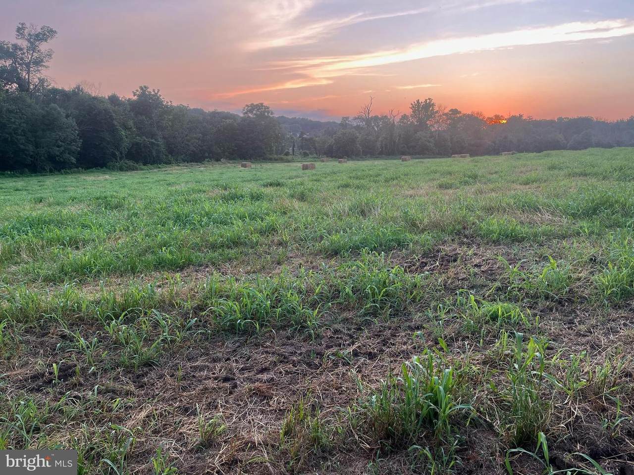 114 Chandler Mill Road - Photo 1