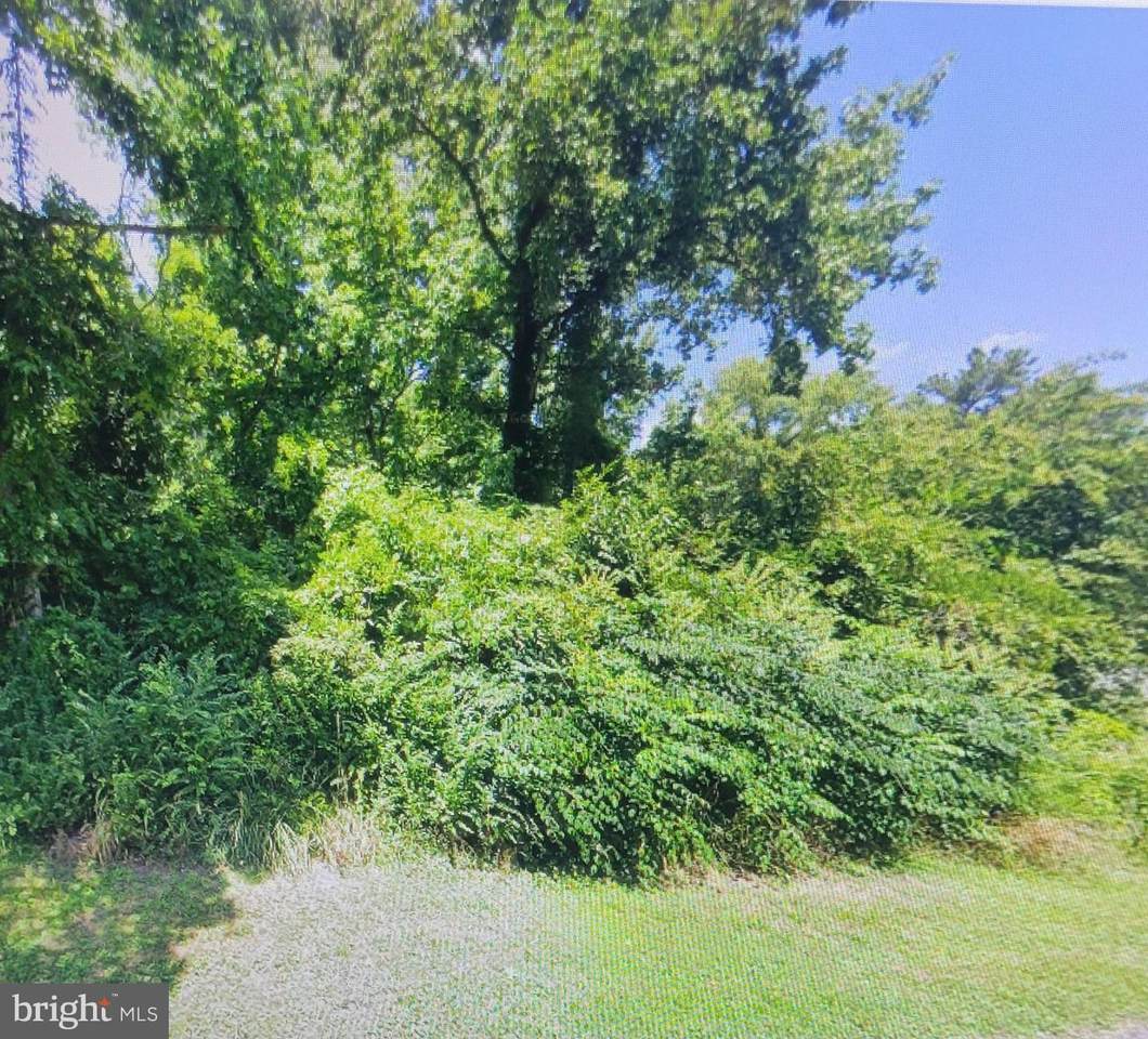  Harris Lane - Photo 1