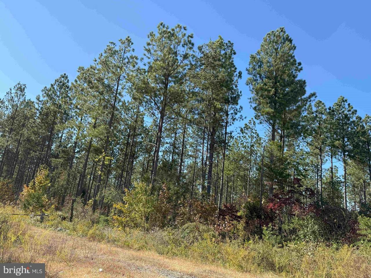  State Rt. 47 (Tract Rogers-5) - Photo 1