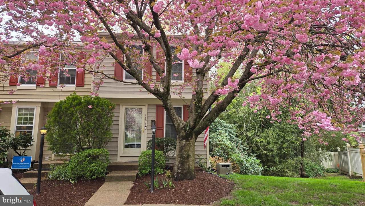 11900 Fieldthorn Court - Photo 1