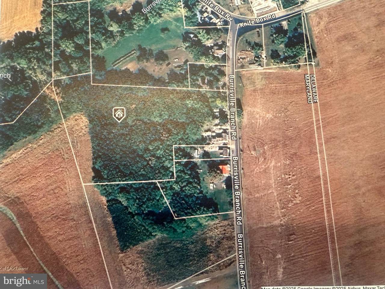 10440 Burrsville Branch Road - Photo 1