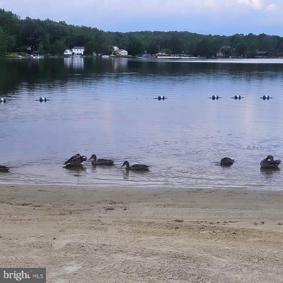 14-21-6 Omaha Trail - Photo 1