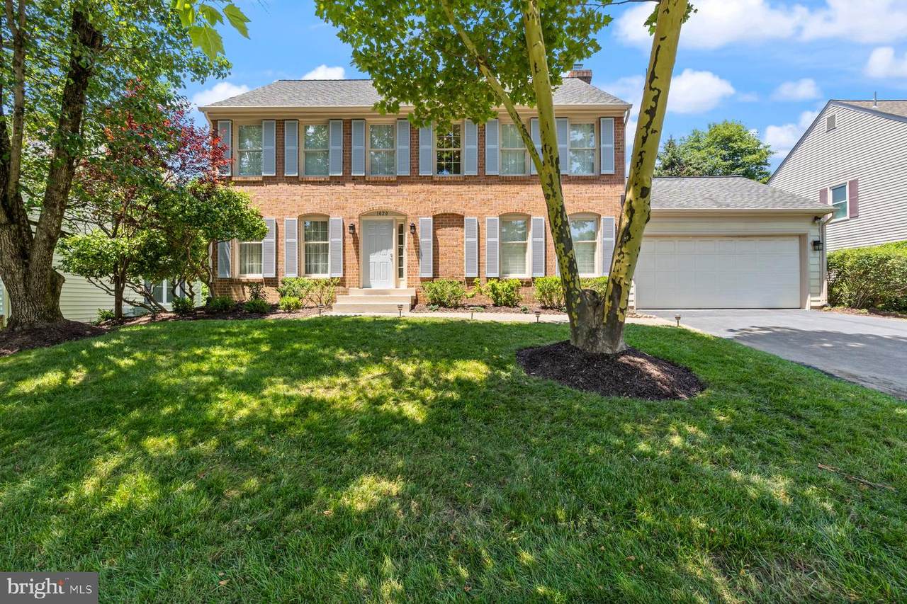 1020 Willowleaf Way - Photo 1