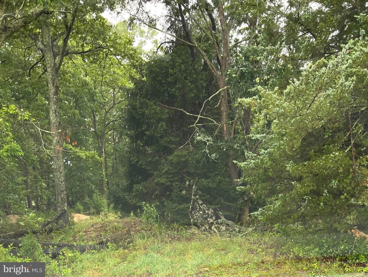 246 Crestview - Photo 1