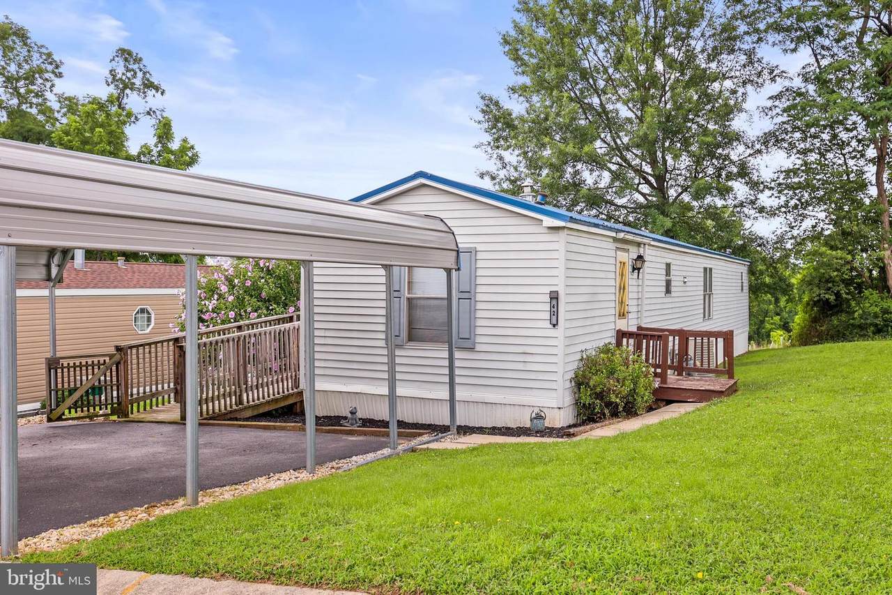 42 Cedar Street - Photo 1