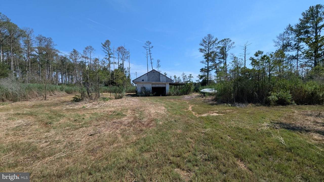 3012 William Maddox Road - Photo 1