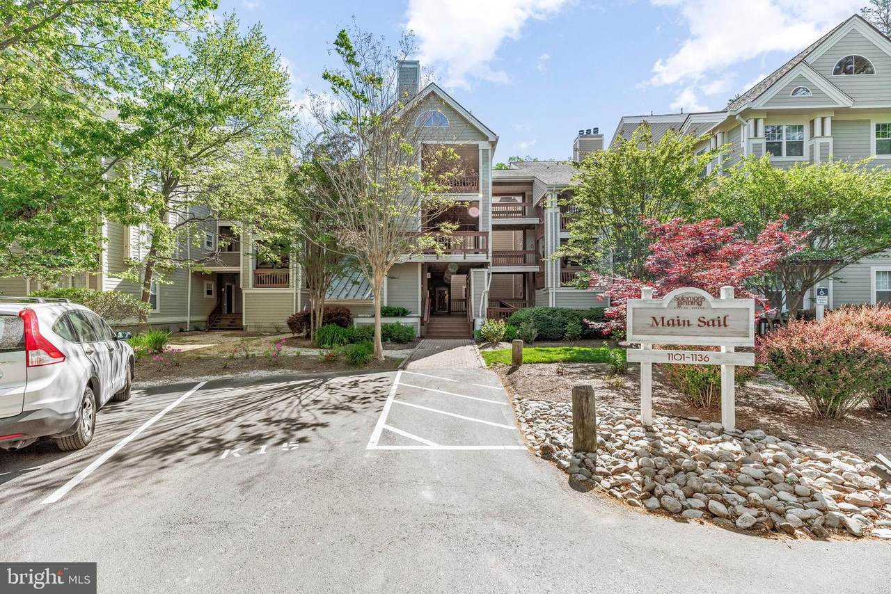 1104 Back Creek Loop - Photo 1