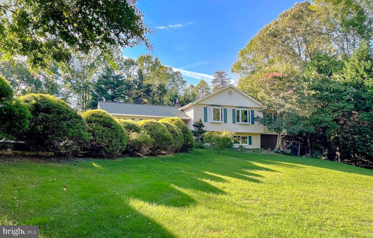 39620 Ellen Court - Photo 1