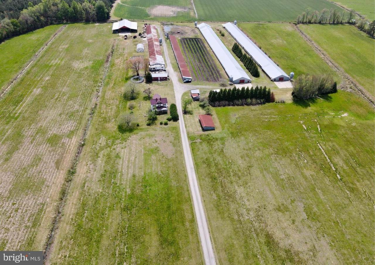 36555 Sheppards Crossing Road - Photo 1