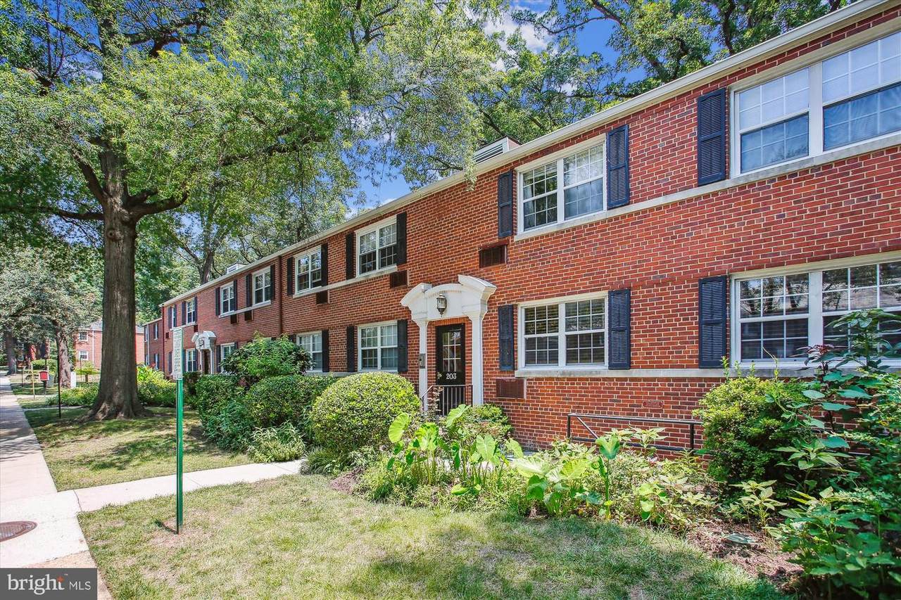 203 George Mason Drive - Photo 1