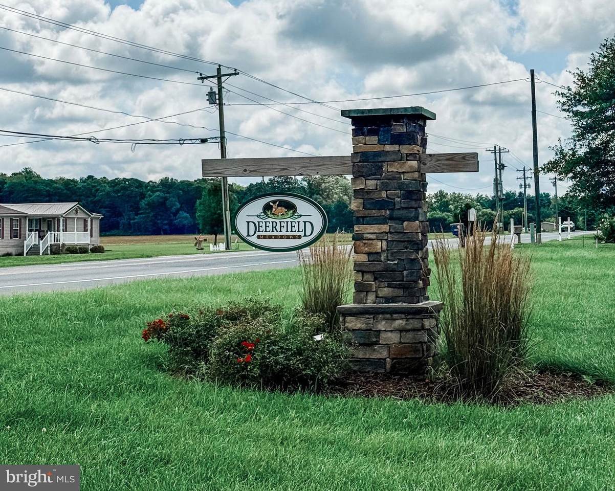 25946 Vincent Farm Lane - Photo 1