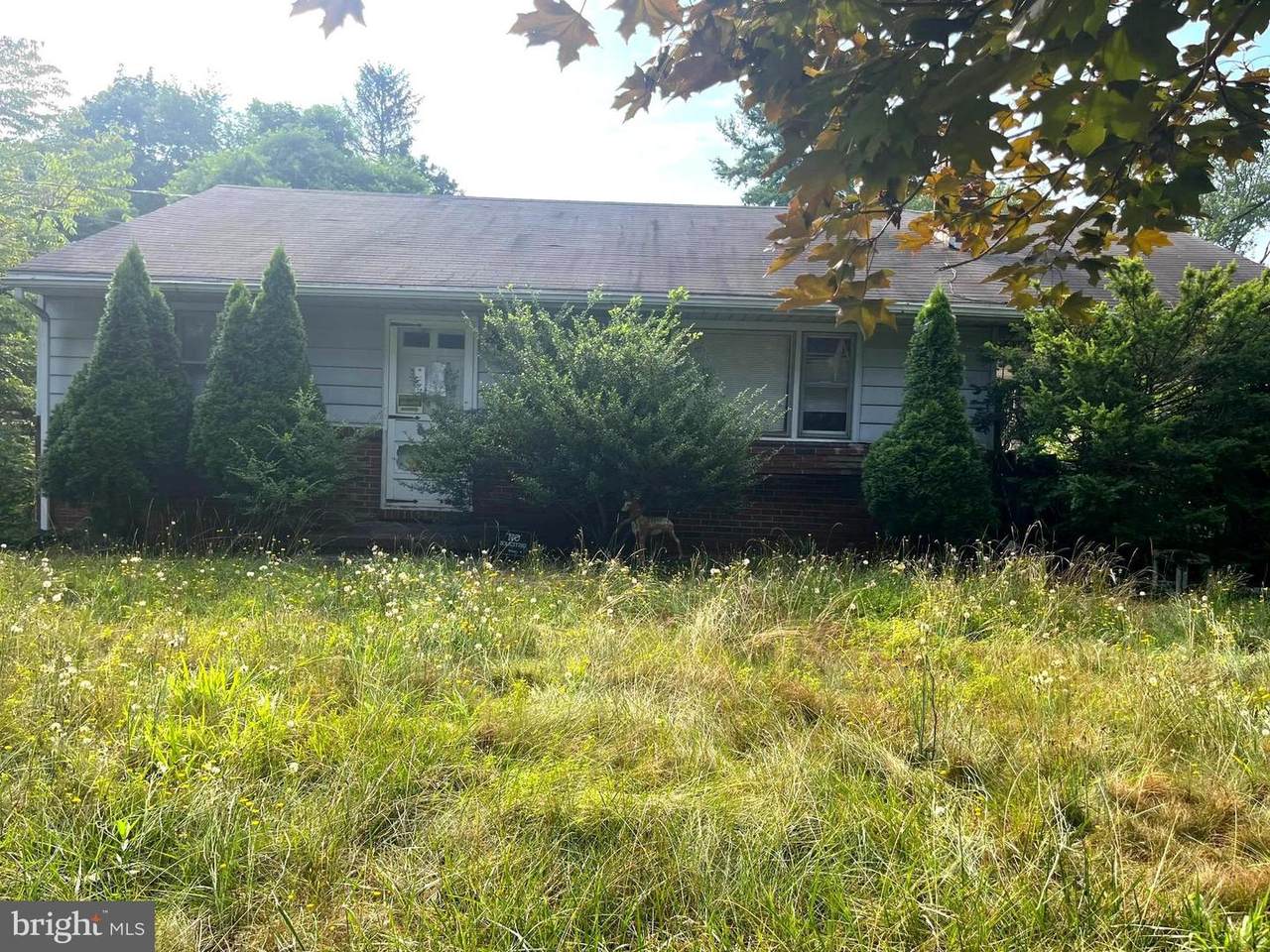 506 Sicklerville Road - Photo 1