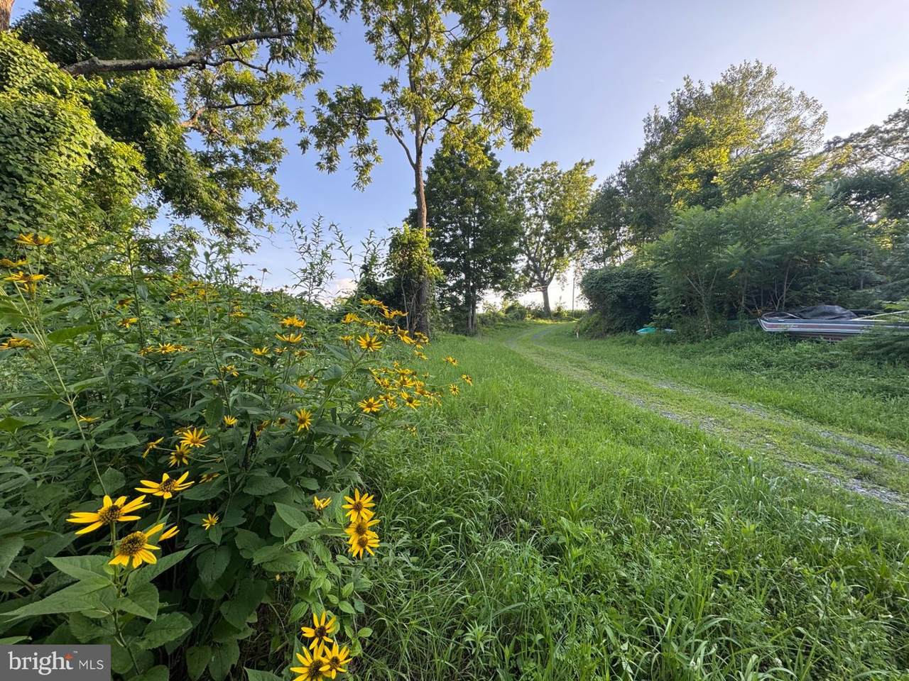 1666 Urban Road - Photo 1