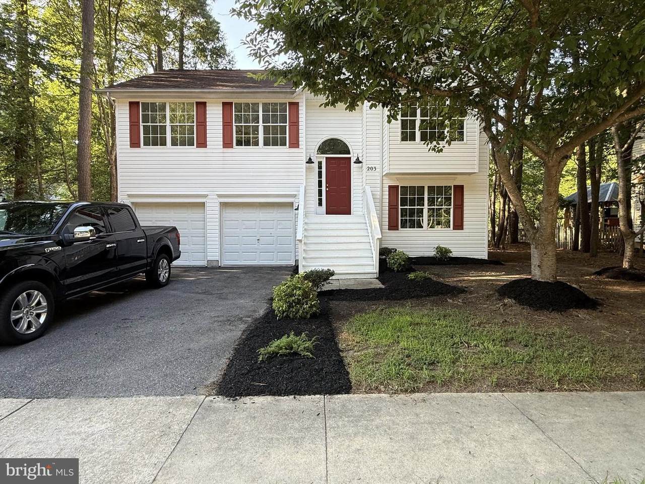 203 Timber Lane - Photo 1