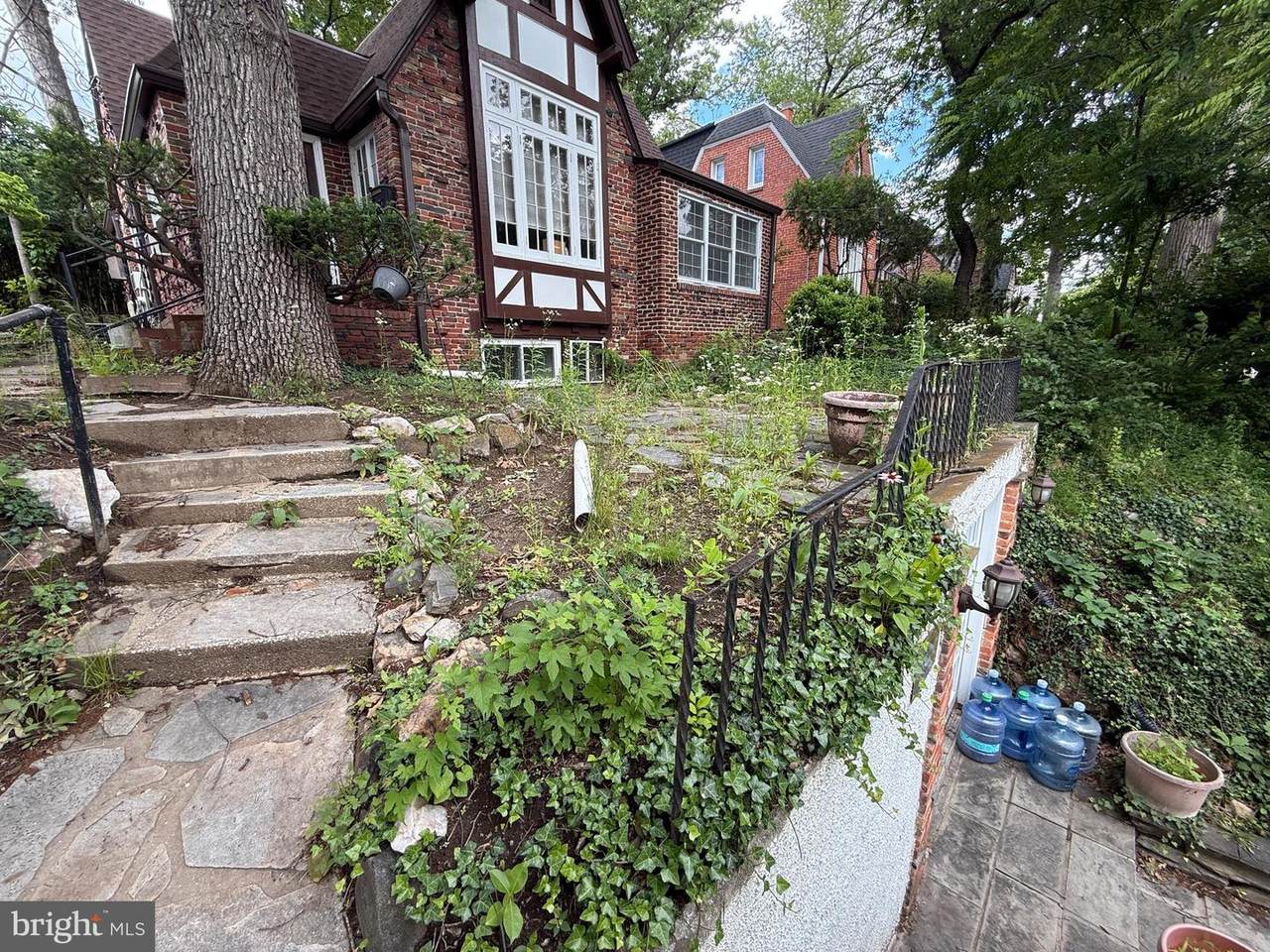 8613 Cedar Street - Photo 1