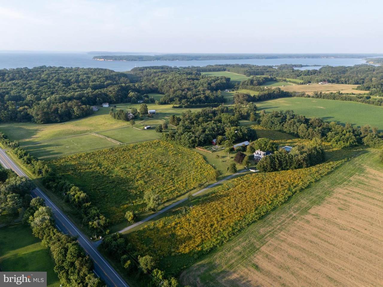 13699 Still Pond Road - Photo 1