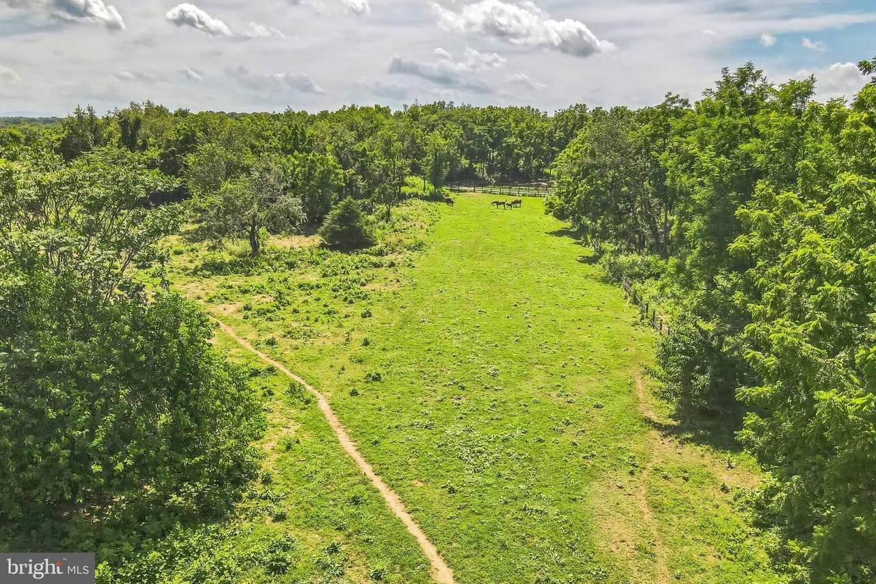 1683 Withers Larue Road - Photo 1