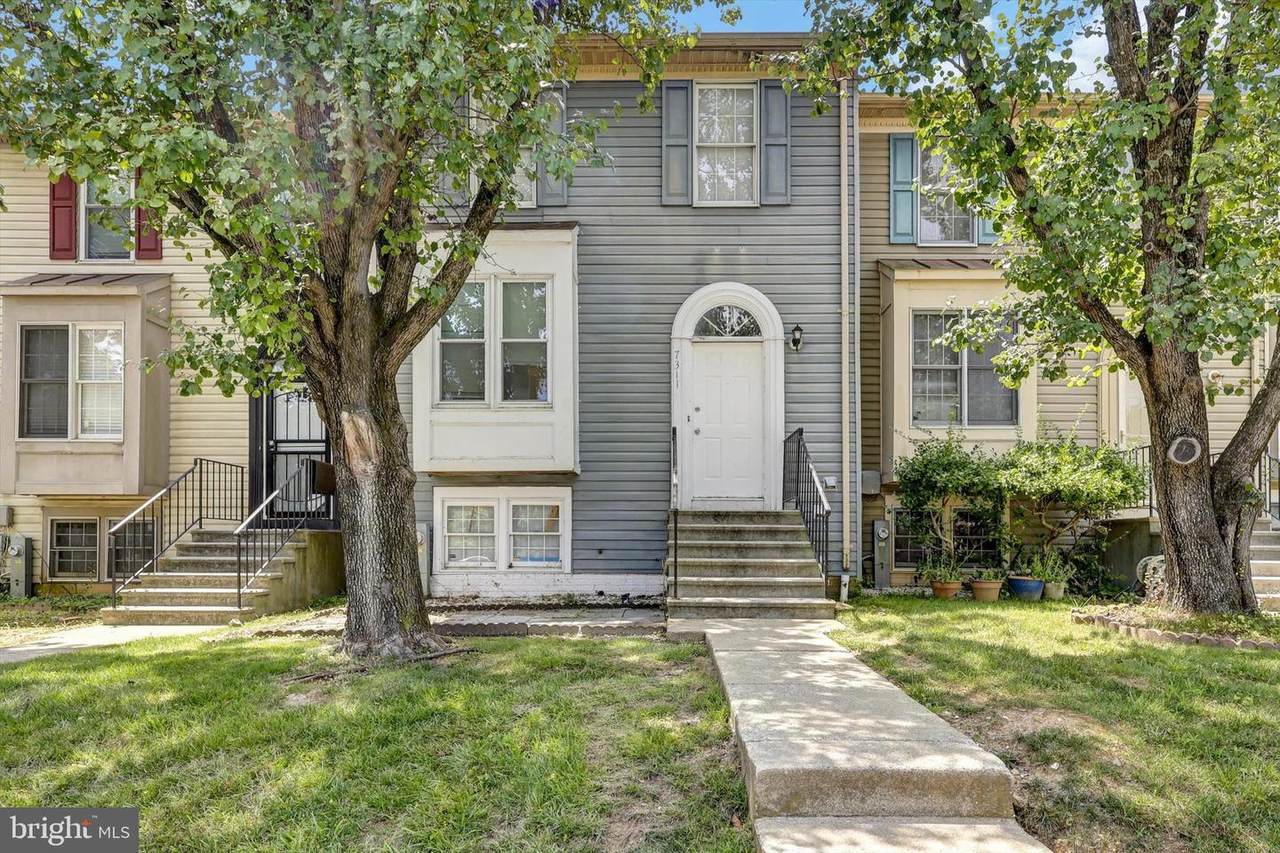 7311 Cantwell Road - Photo 1