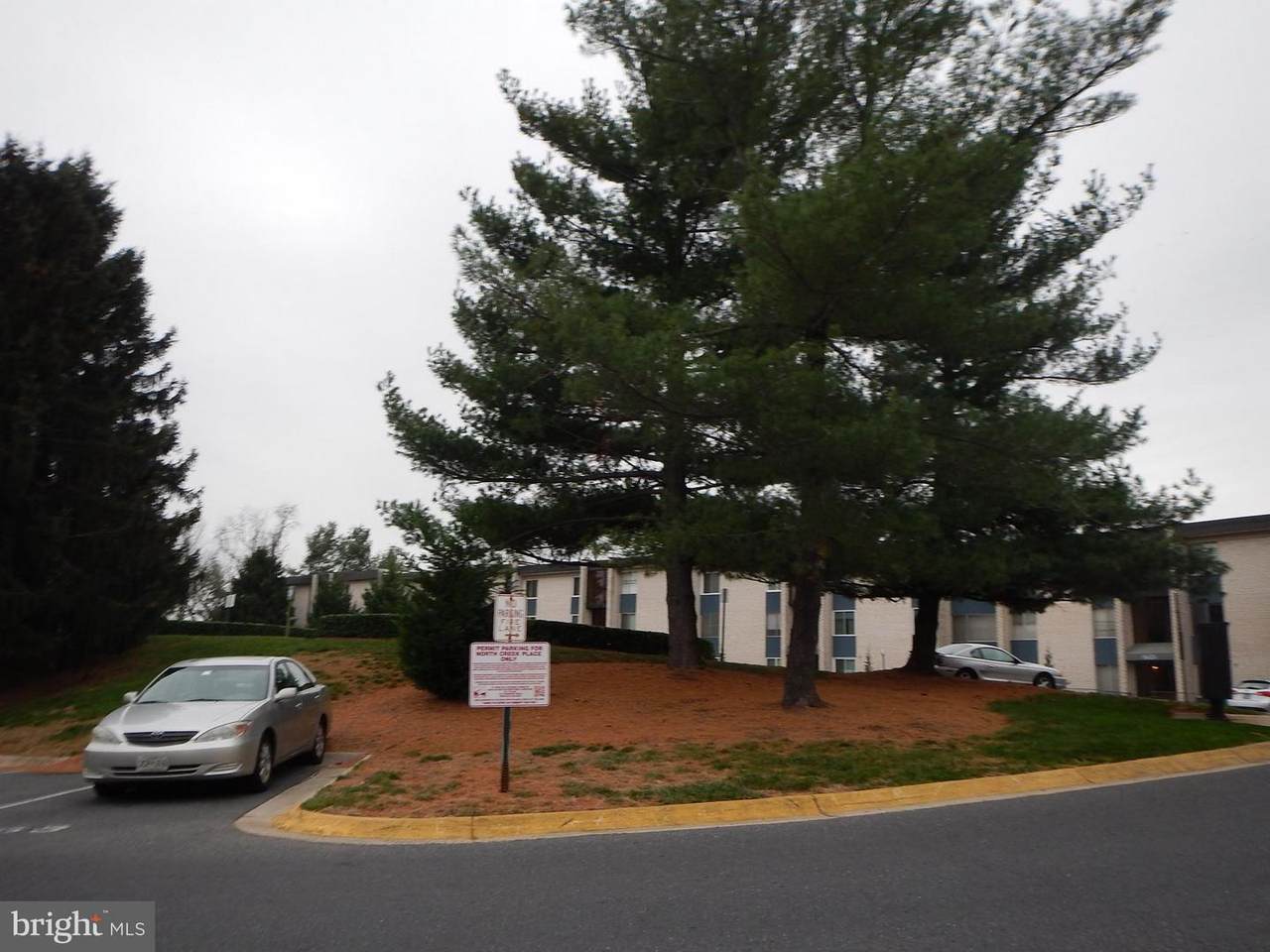 14618 Bauer Drive - Photo 1