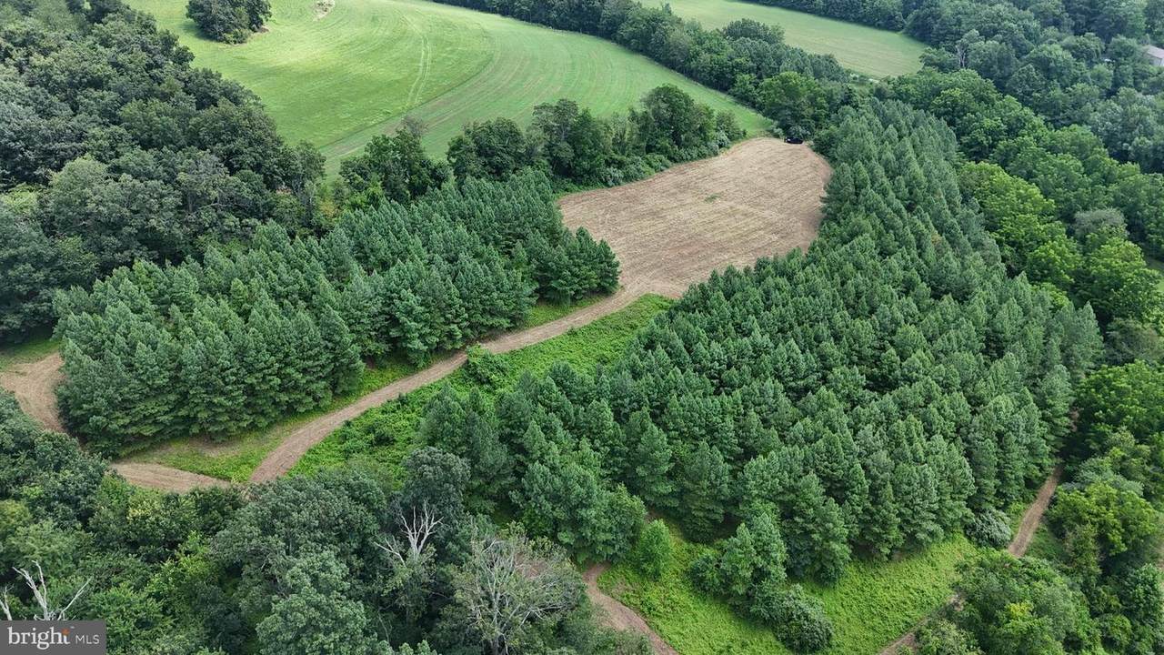 0 Highland Lane - Photo 1