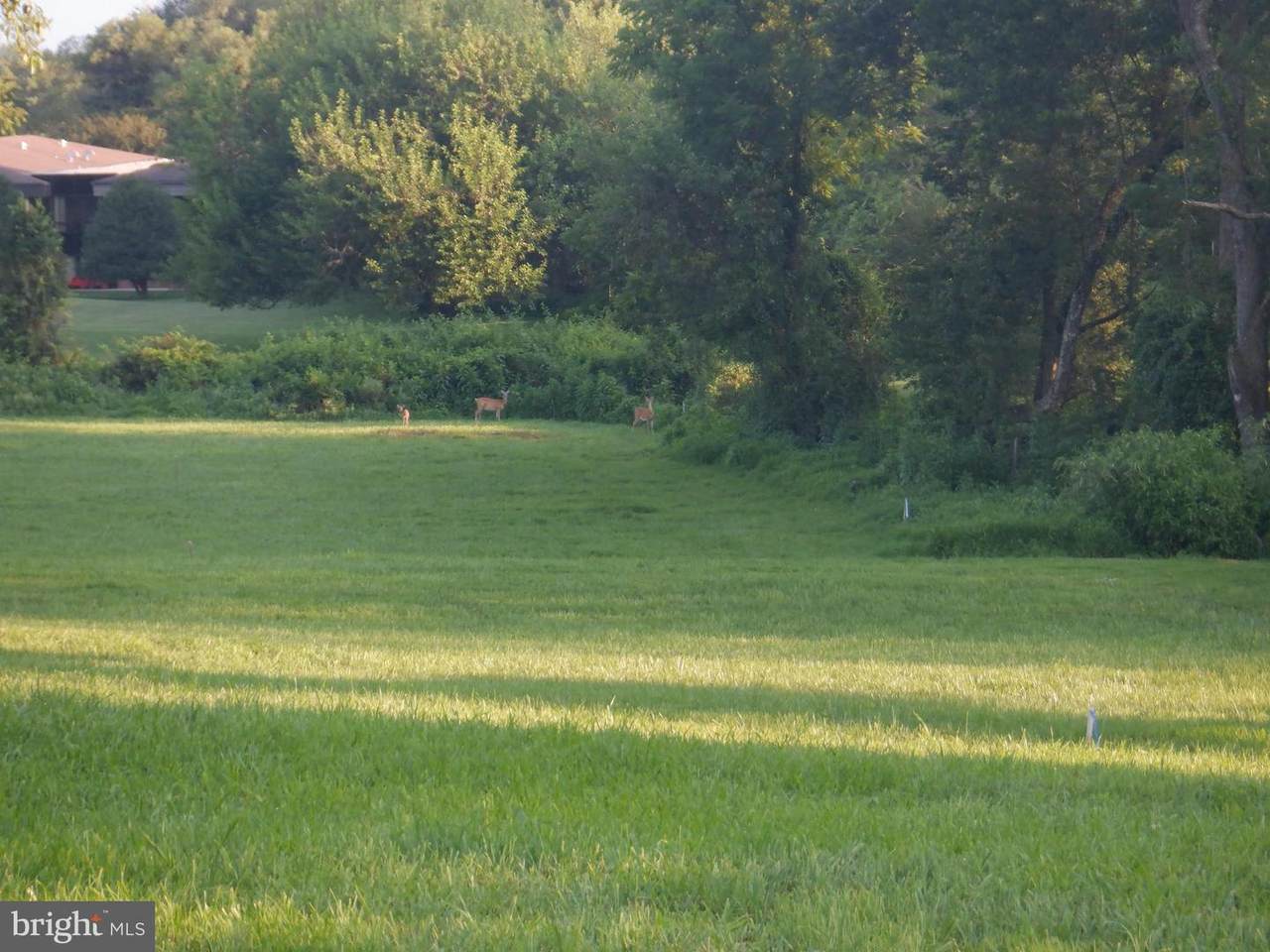 2938 Route 97 - Photo 1