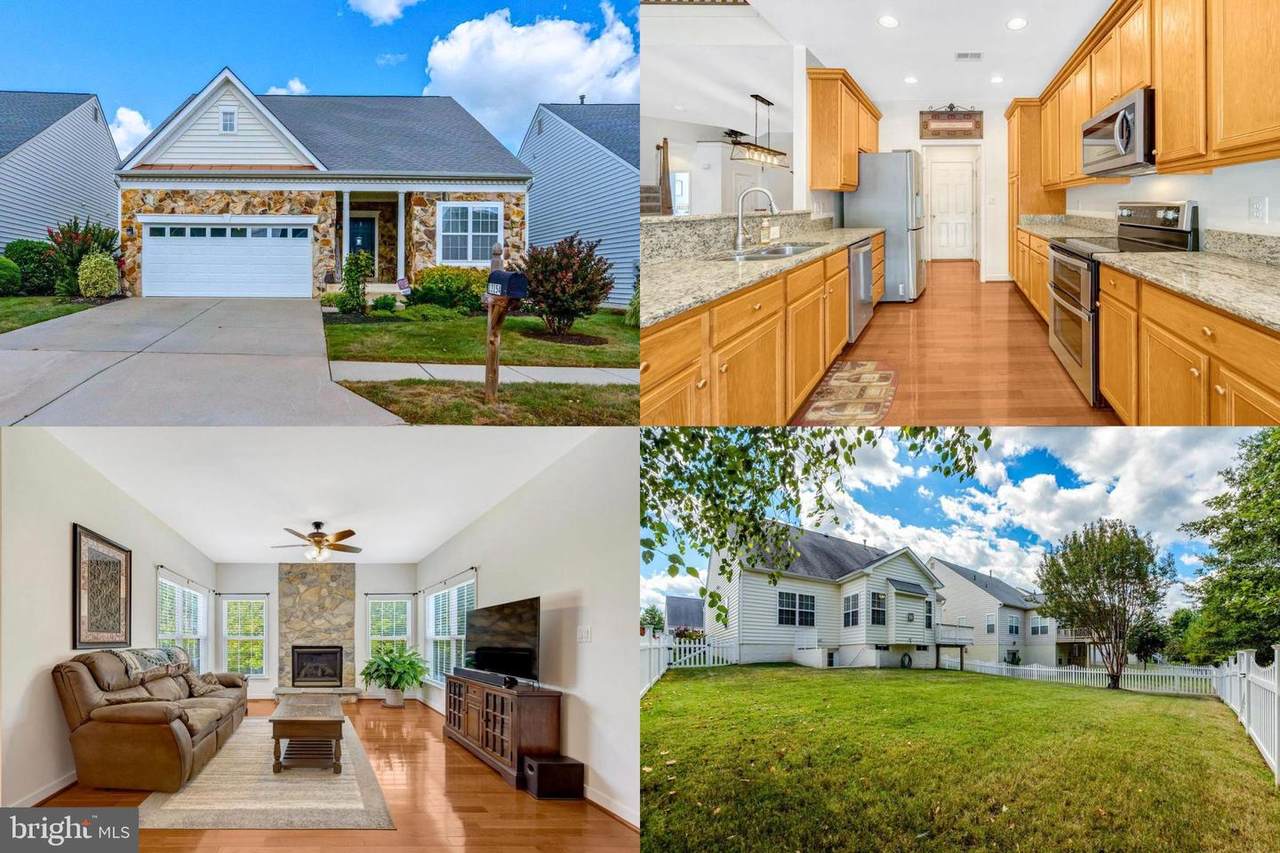 13154 Triple Crown Loop - Photo 1