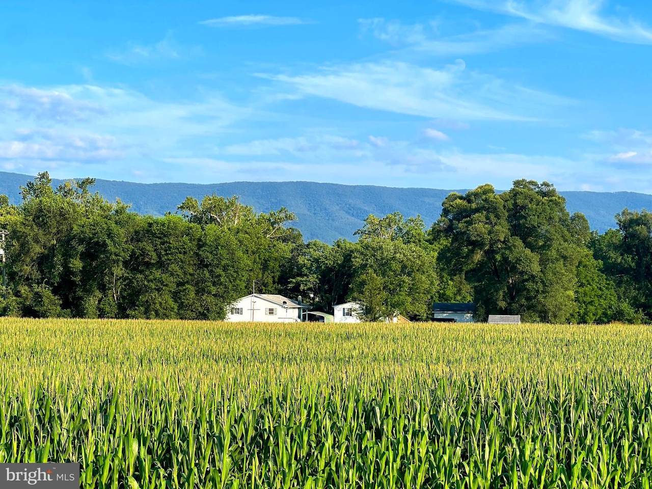 550 & 560 Rohrbaugh Lane - Photo 1