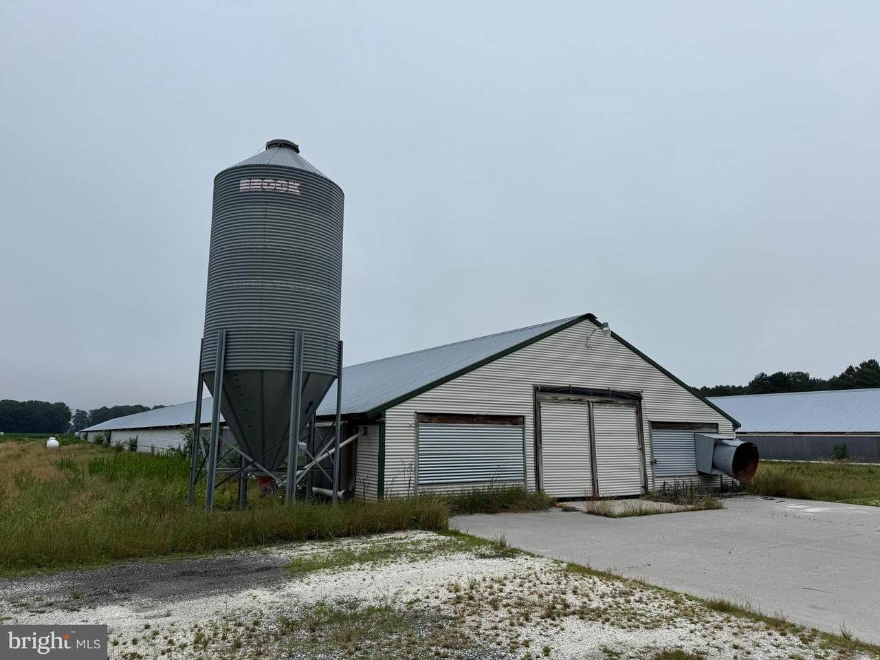 25495 Saxis Road - Photo 1