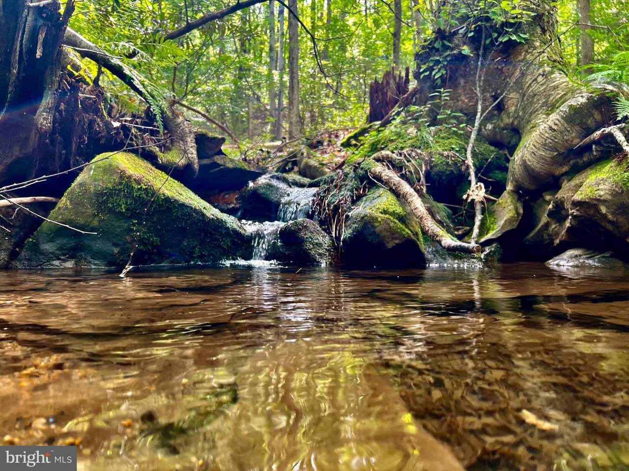 TBD Chidester Road - Photo 1