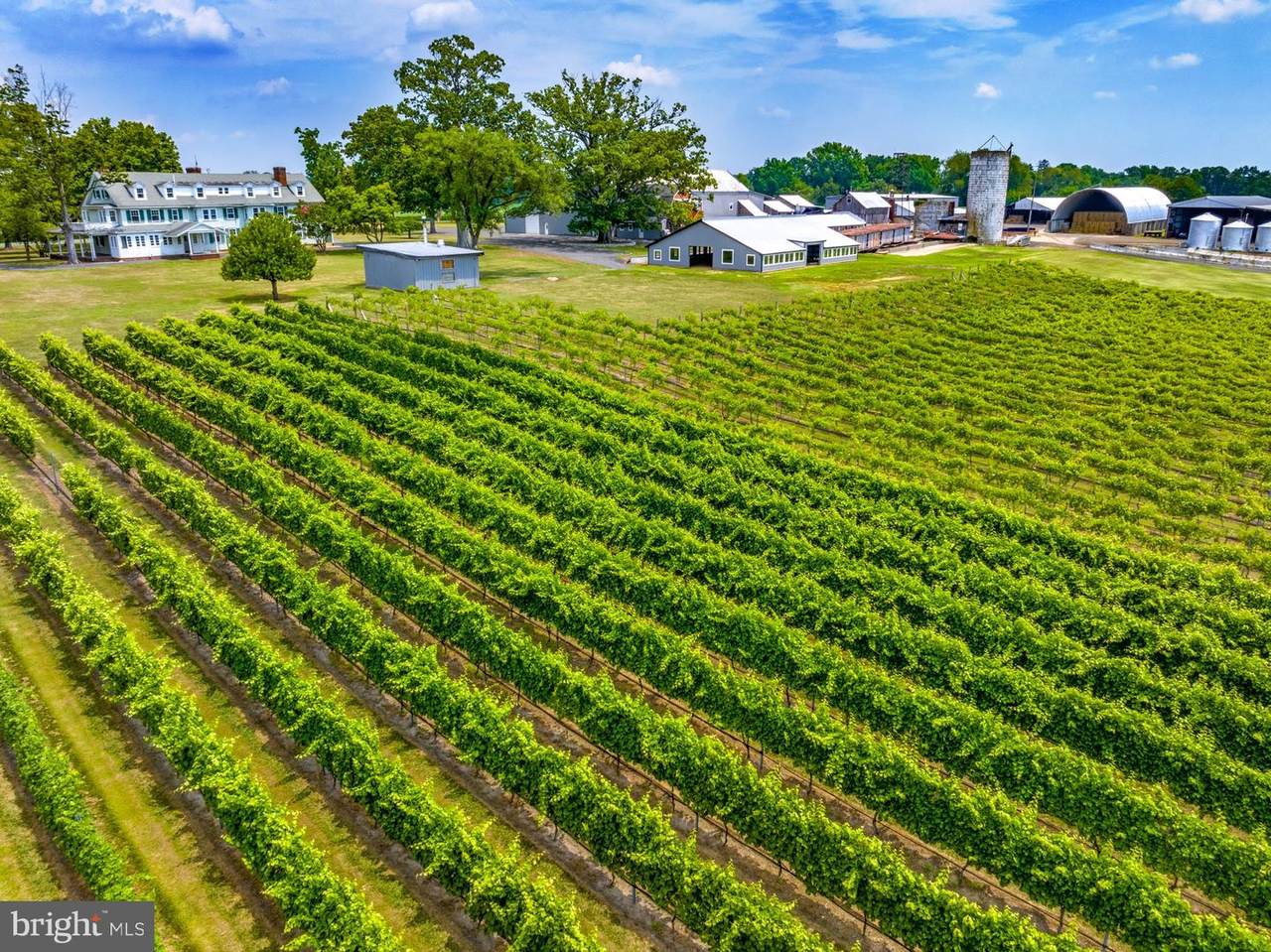 27058 Mount Pleasant Road - Photo 1