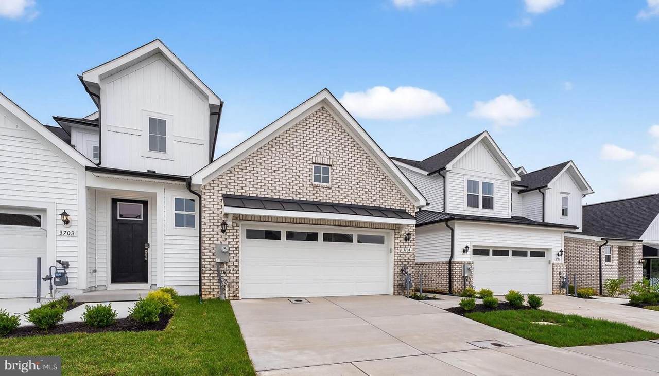 3704 Elizabeth River Drive - Photo 1