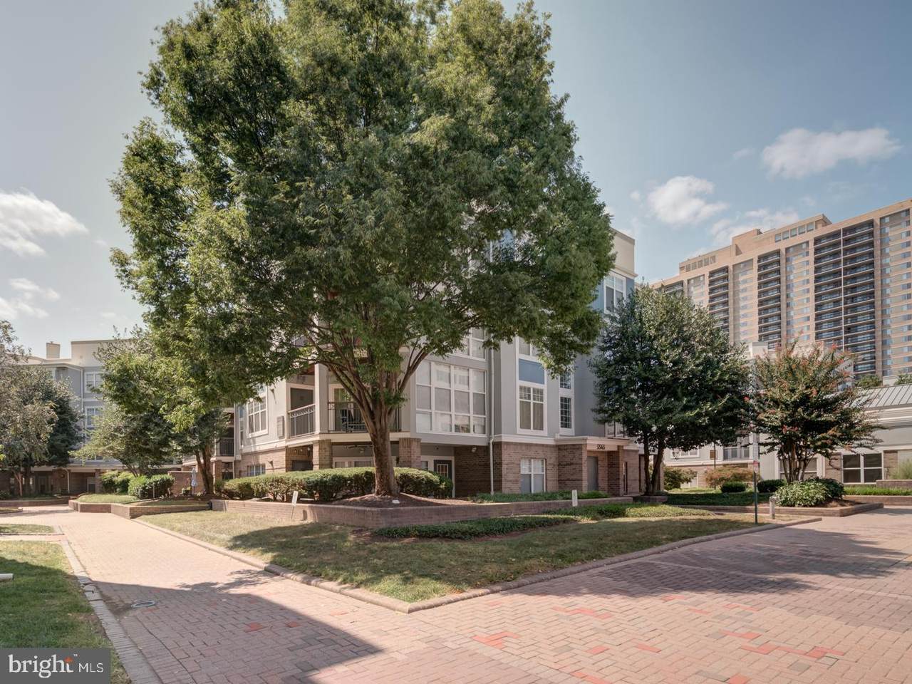 5565 Seminary Road - Photo 1