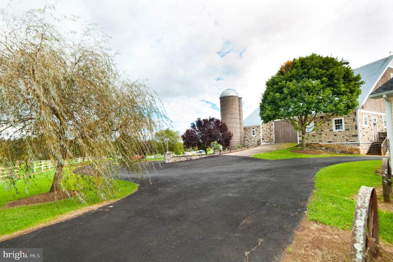 590 Carlyle Road - Photo 1