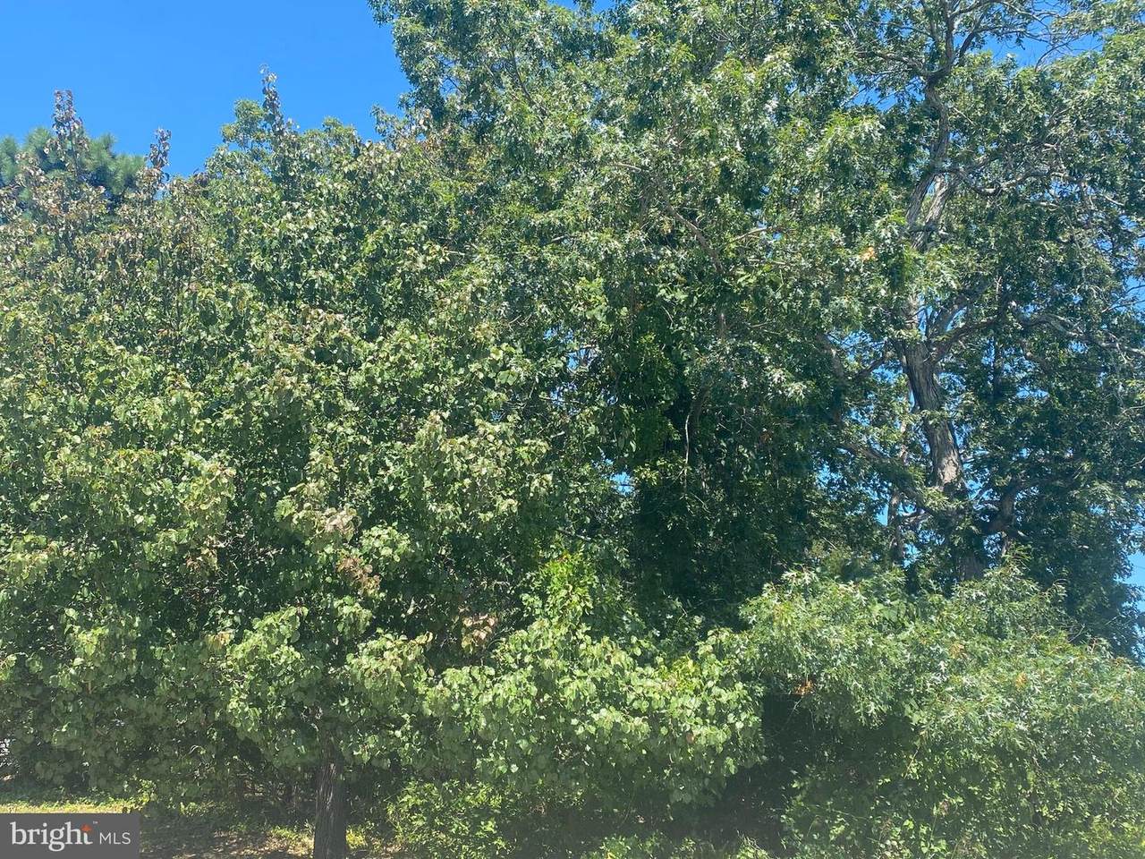 140 Warren Grove Road - Photo 1