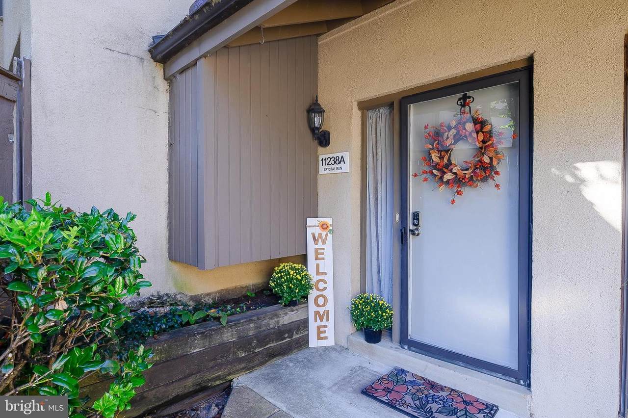 11238 Crystal Run - Photo 1