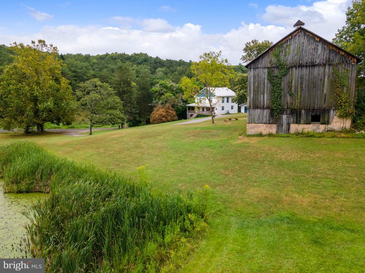 2485 Potomac Road - Photo 1