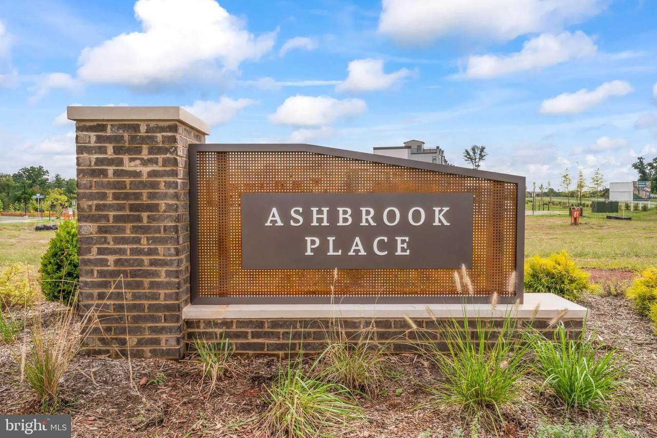 20364 Newfoundland Square - Photo 1