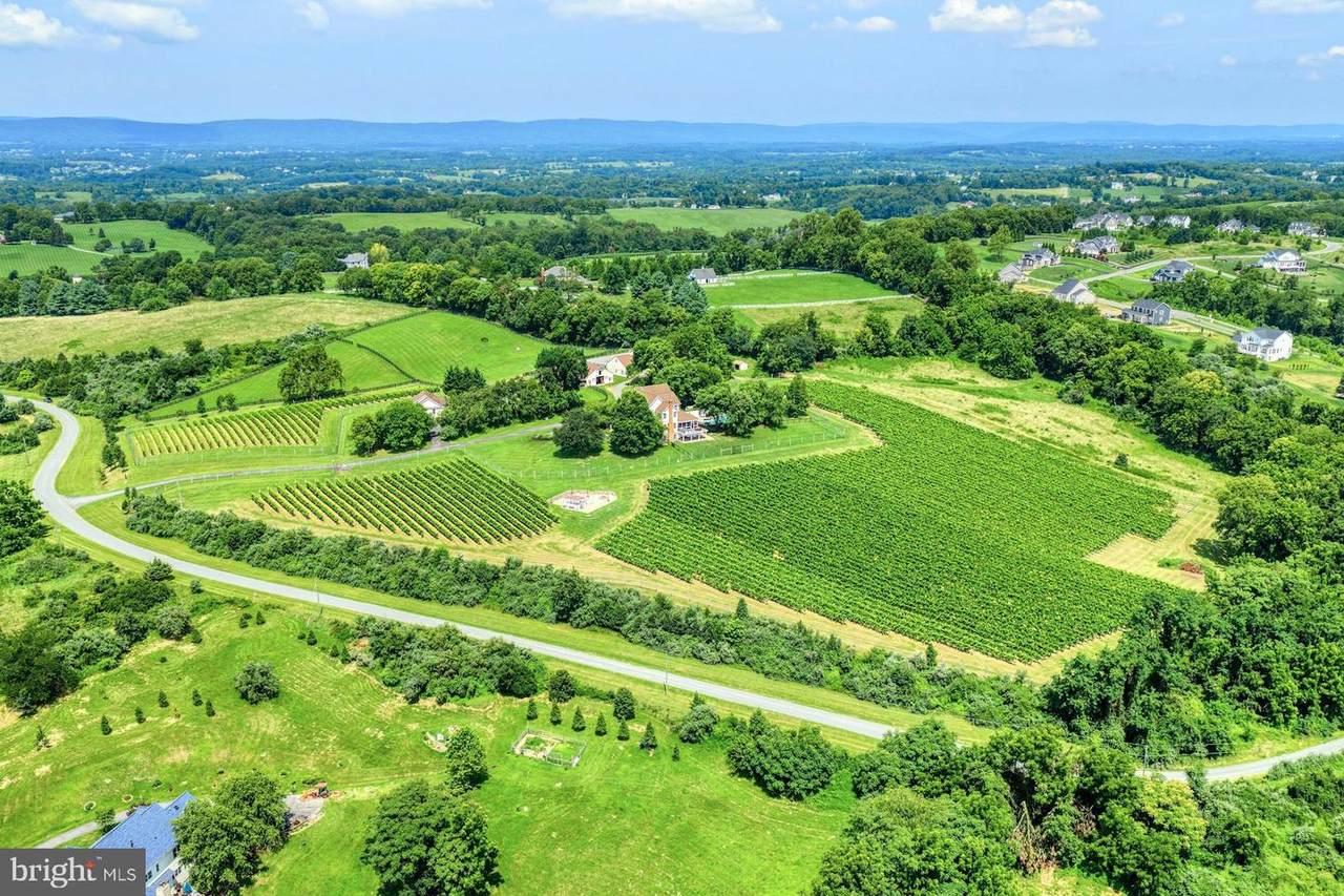 40954 Canter Lane - Photo 1