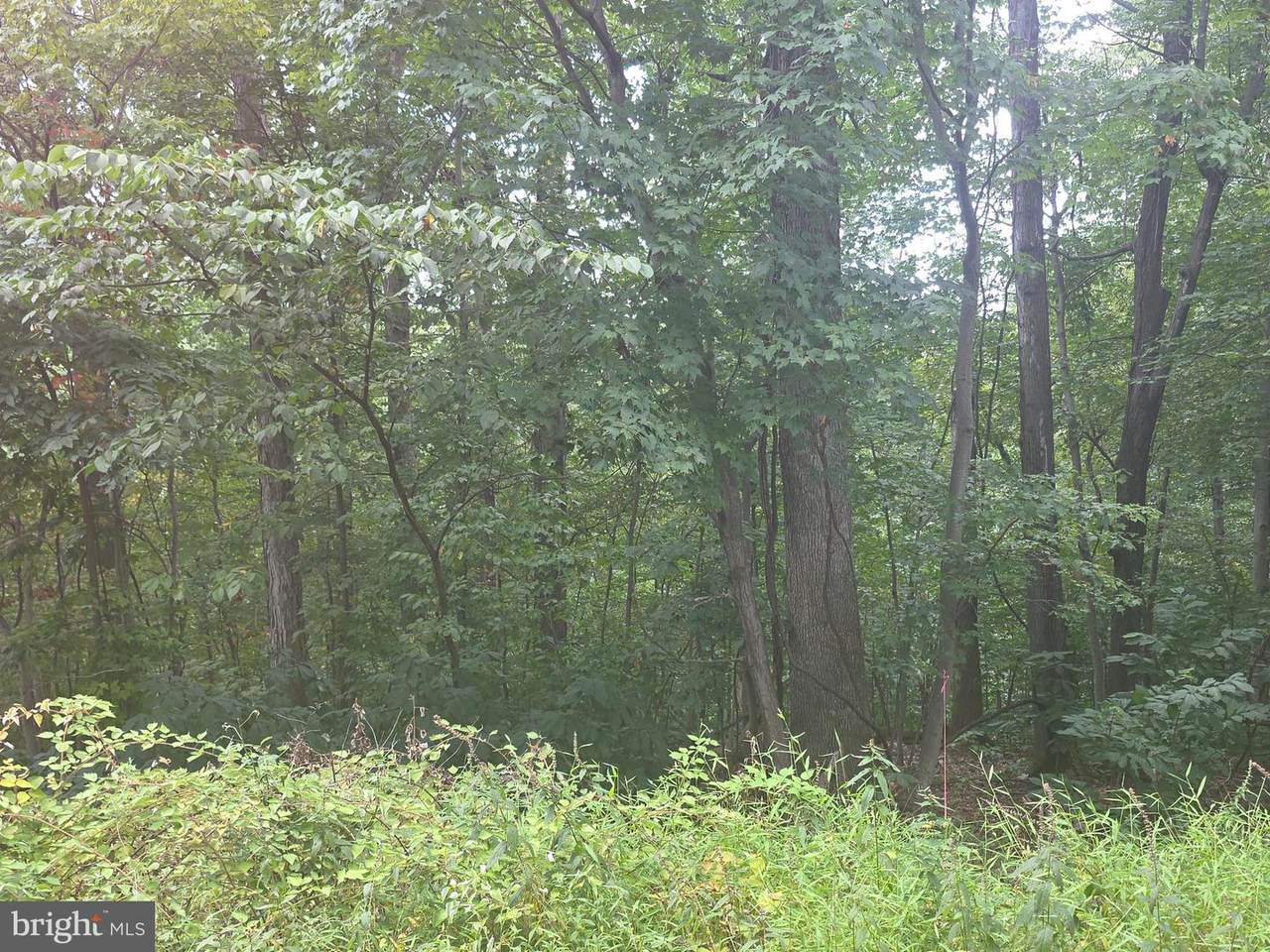  Cherrywood Road - Photo 1