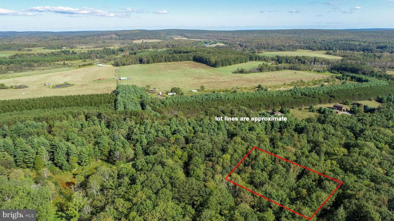  Limpopo Lane - Photo 1