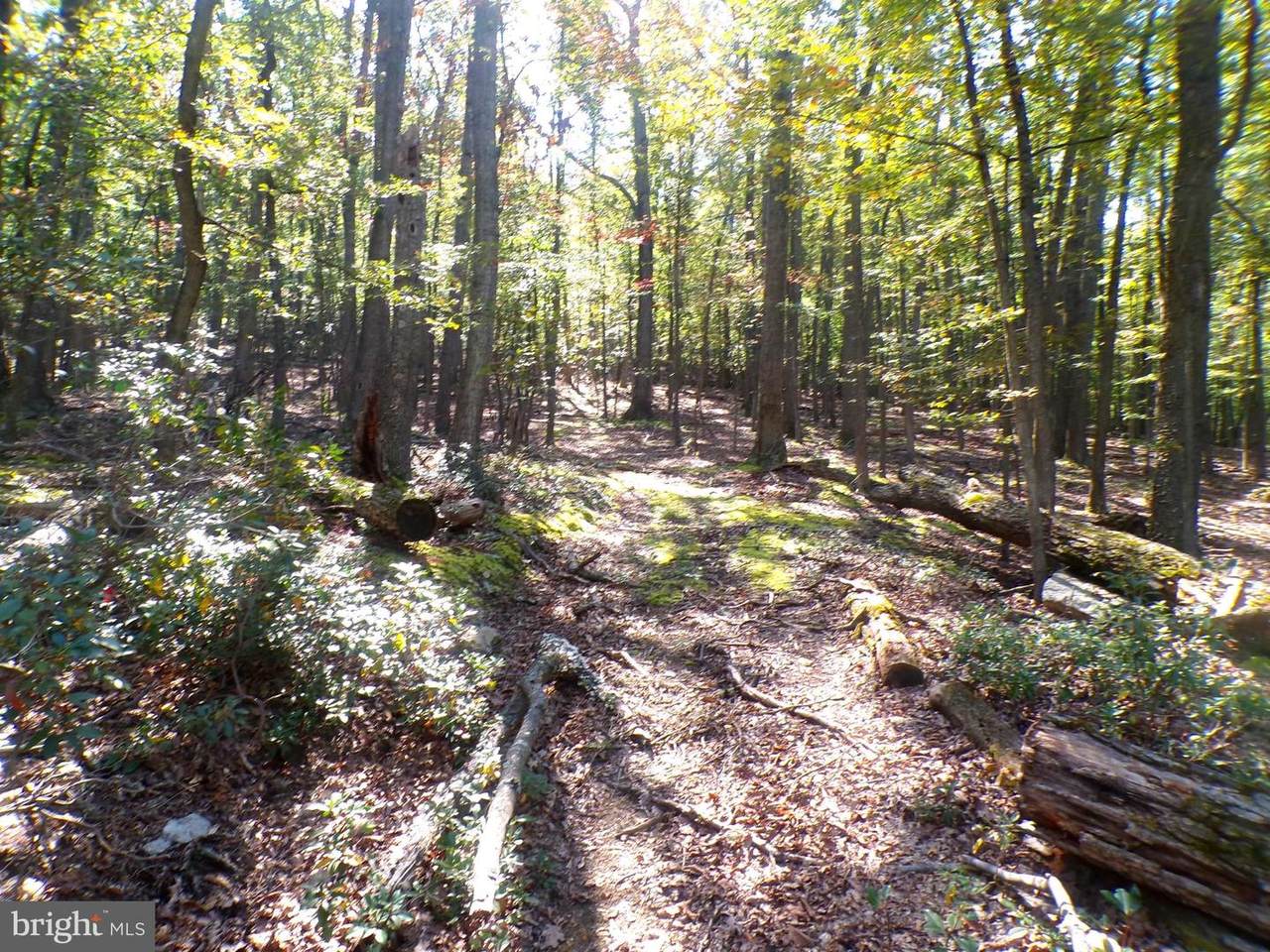  Big Horn Trail - Photo 1